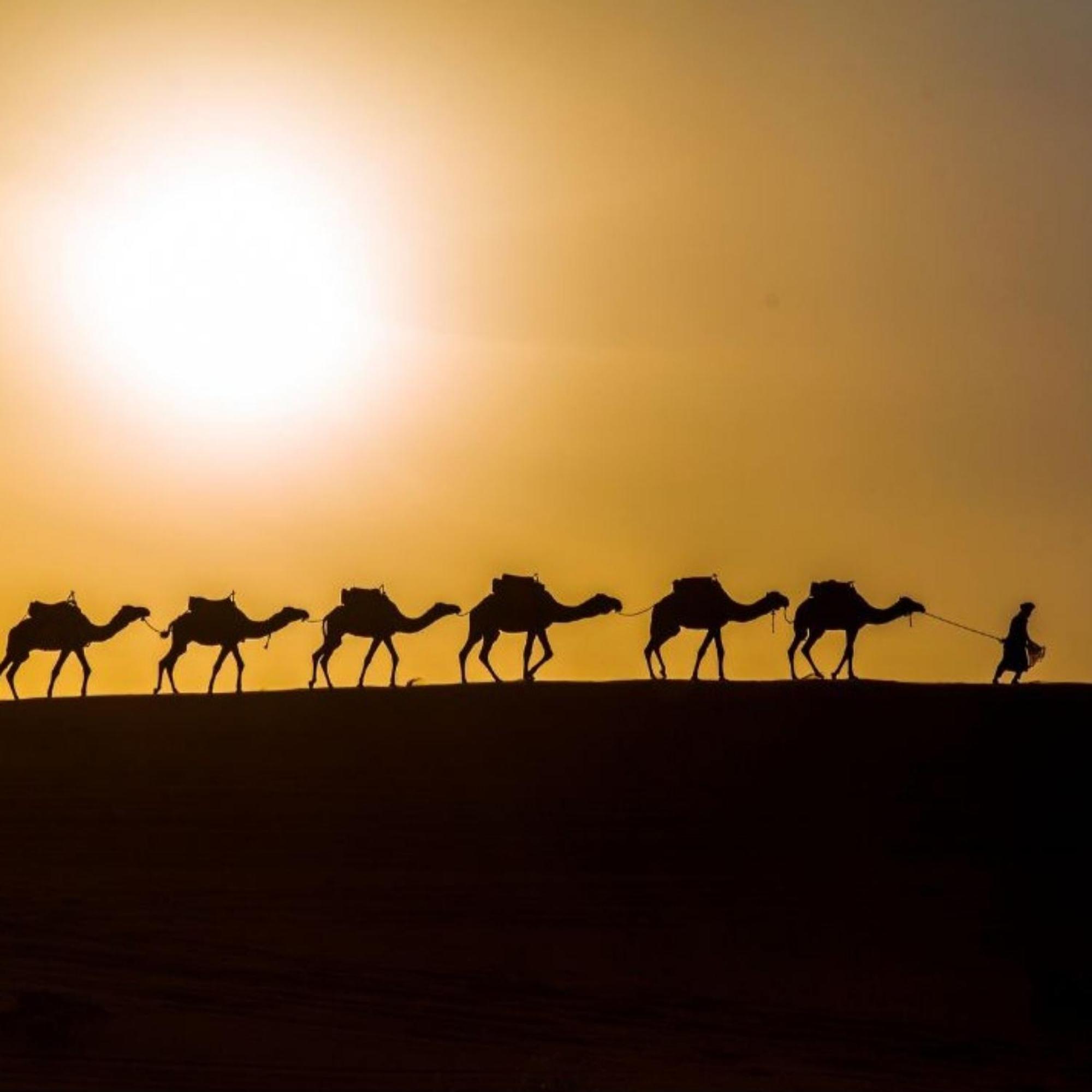 Erg Chebbi Romantic Desert Camp Merzouga Eksteriør billede