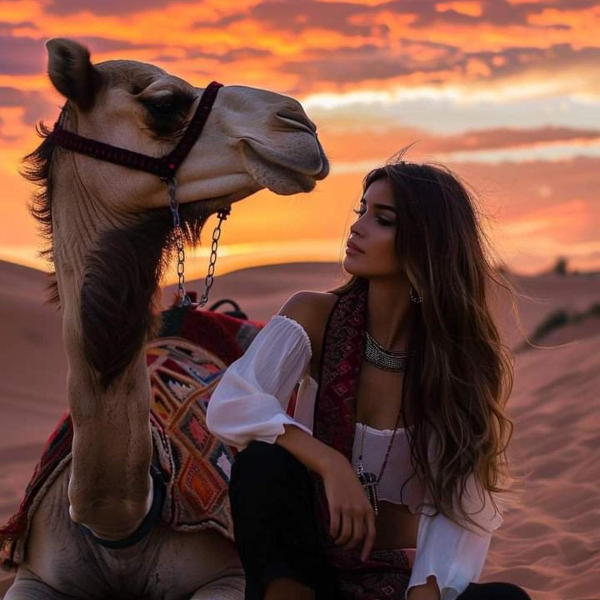 Erg Chebbi Romantic Desert Camp Merzouga Eksteriør billede